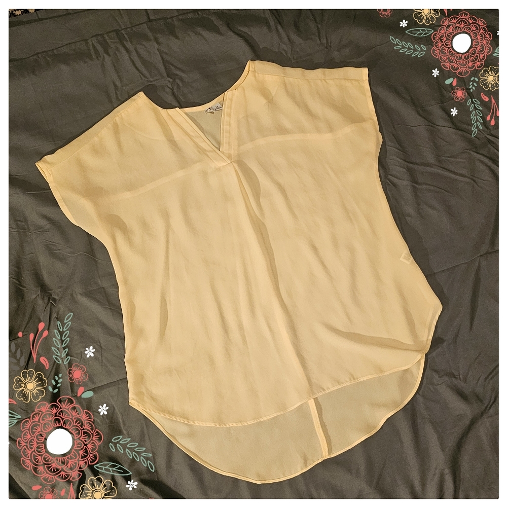 Cato blouse